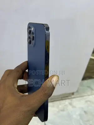 Apple iPhone 12 Pro Max 256 GB Blue