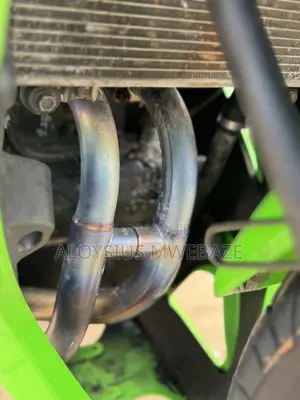 Kawasaki Ninja 300 2013 Green