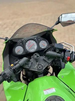 Kawasaki Ninja 300 2013 Green