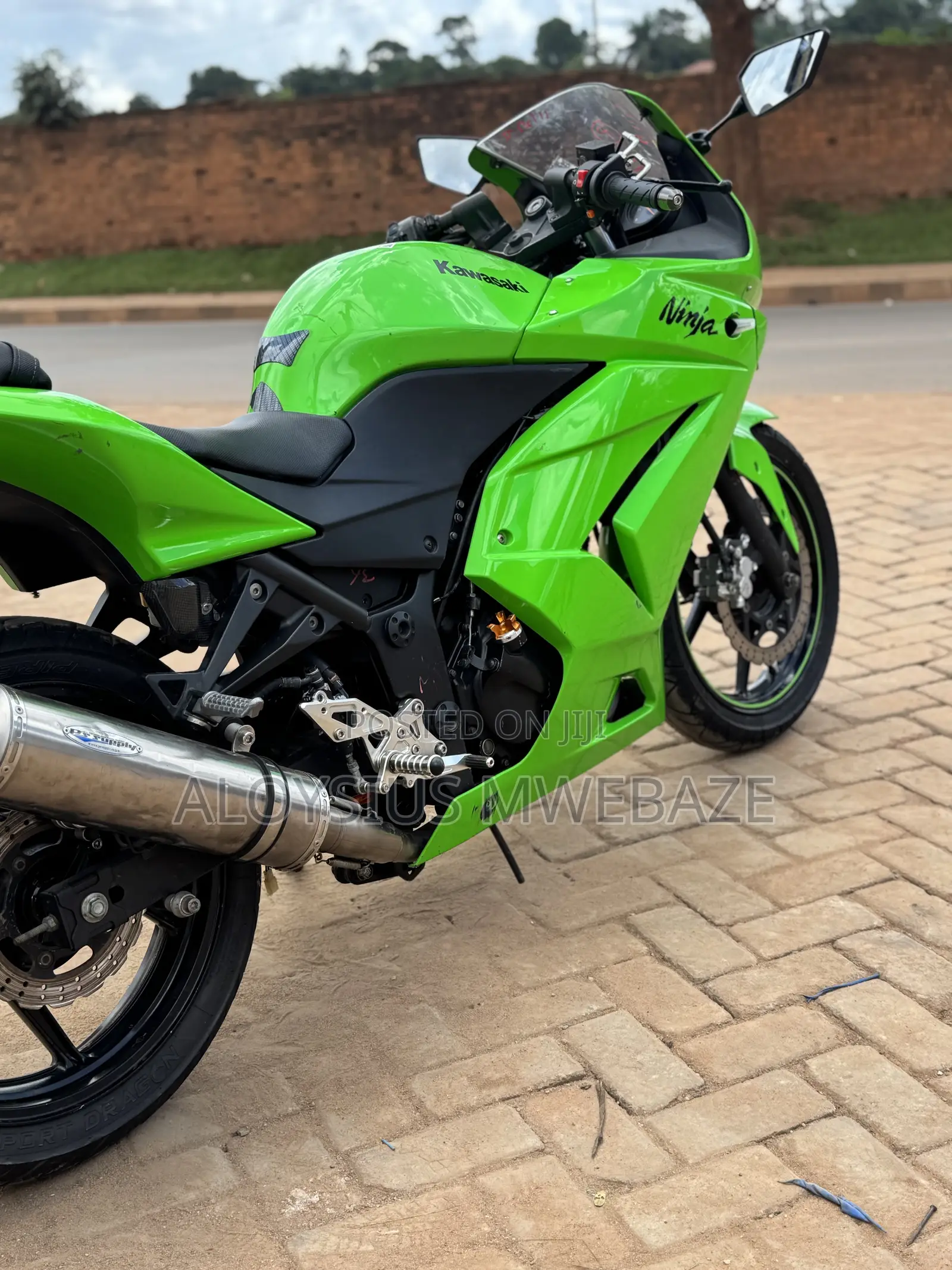 Kawasaki Ninja 300 2013 Green