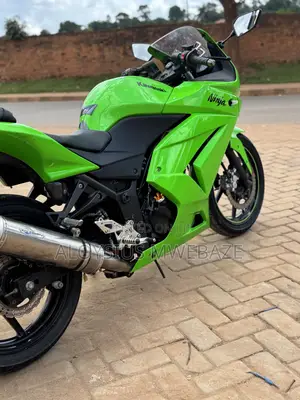 Kawasaki Ninja 300 2013 Green