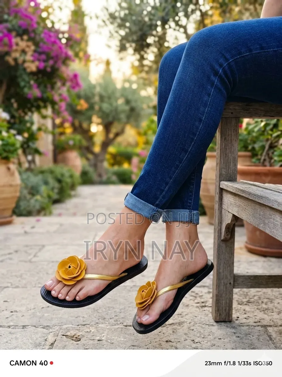 Lady's Shoes
