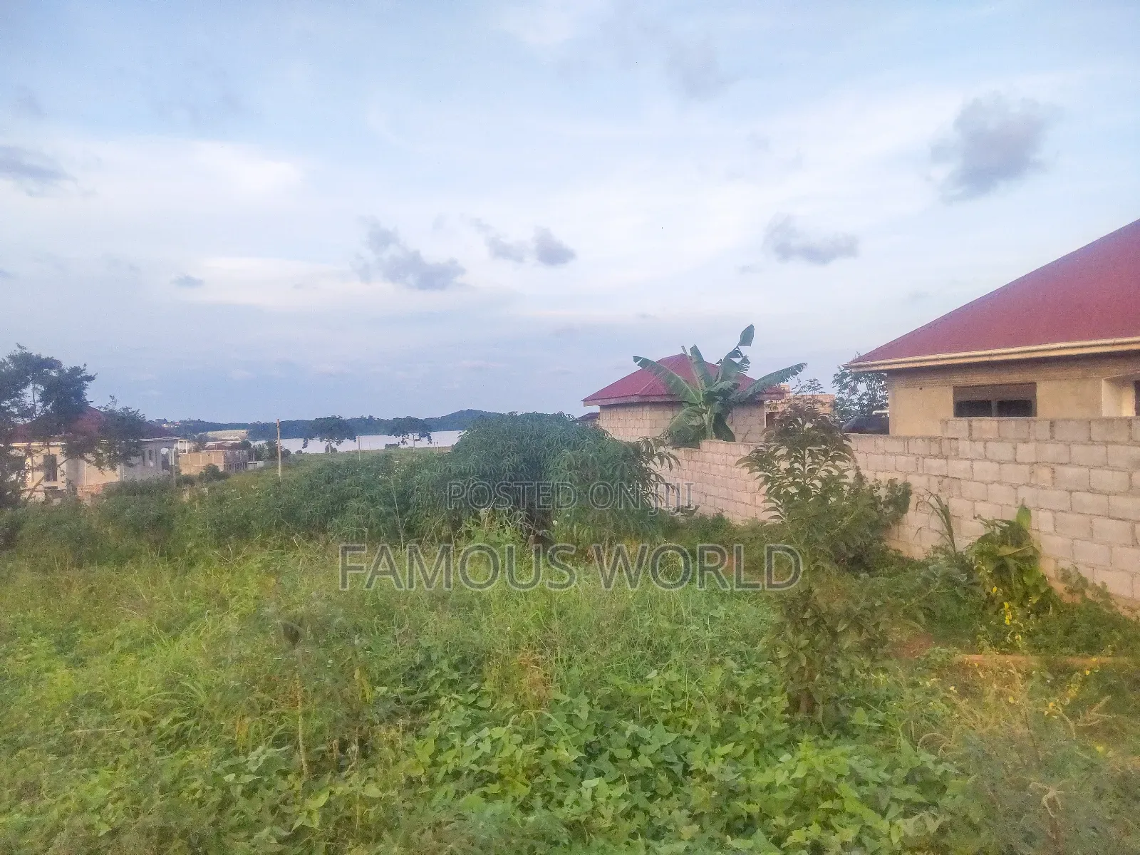 Njako Nkumba Lake View Acre on Sale