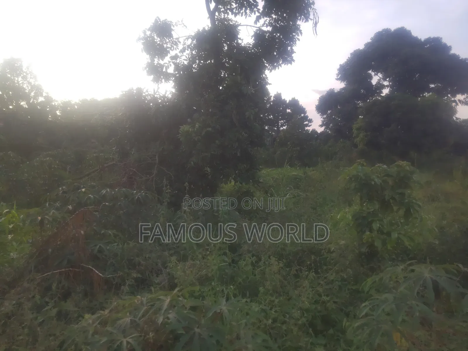 Njako Nkumba Lake View Acre on Sale