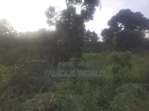Njako Nkumba Lake View Acre on Sale