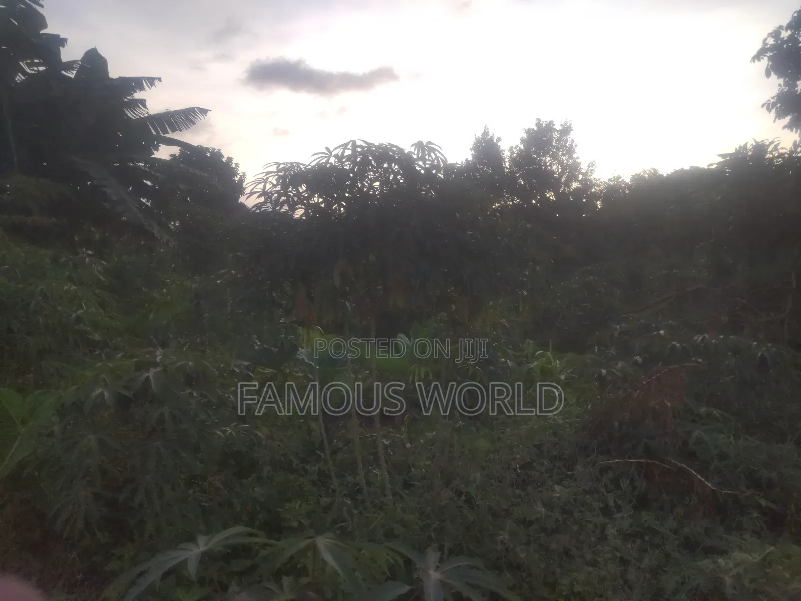 Njako Nkumba Lake View Acre on Sale