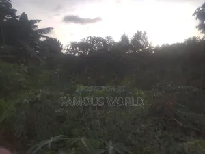 Njako Nkumba Lake View Acre on Sale