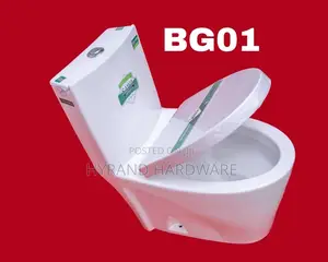 Sawa Toilets