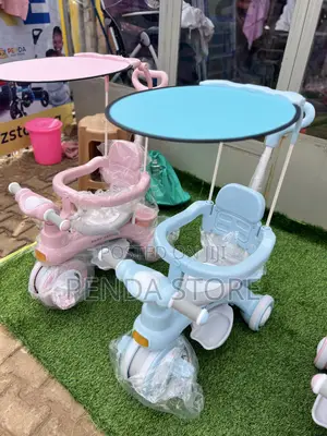Tricycles With Umbrella – Kids Scenic Adventure Bicycle