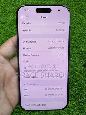 Apple iPhone 16 Pro 256 GB Gray