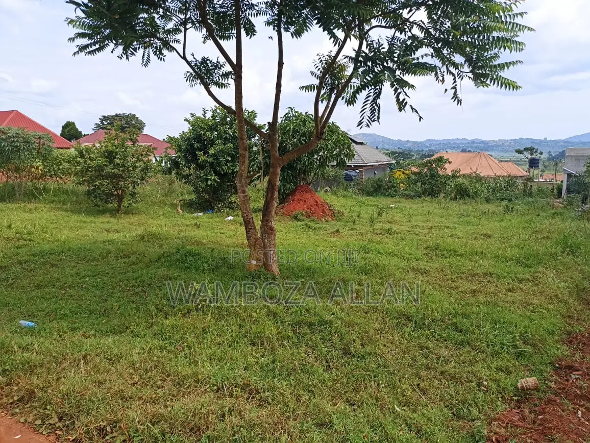 Genuine Titled 50x100 Plot for Sale – Sanga Nakukuba, Matugga