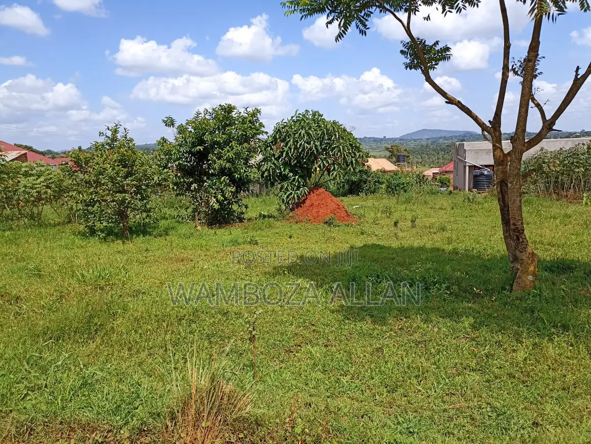 Genuine Titled 50x100 Plot for Sale – Sanga Nakukuba, Matugga