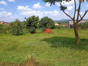 Genuine Titled 50x100 Plot for Sale – Sanga Nakukuba, Matugga