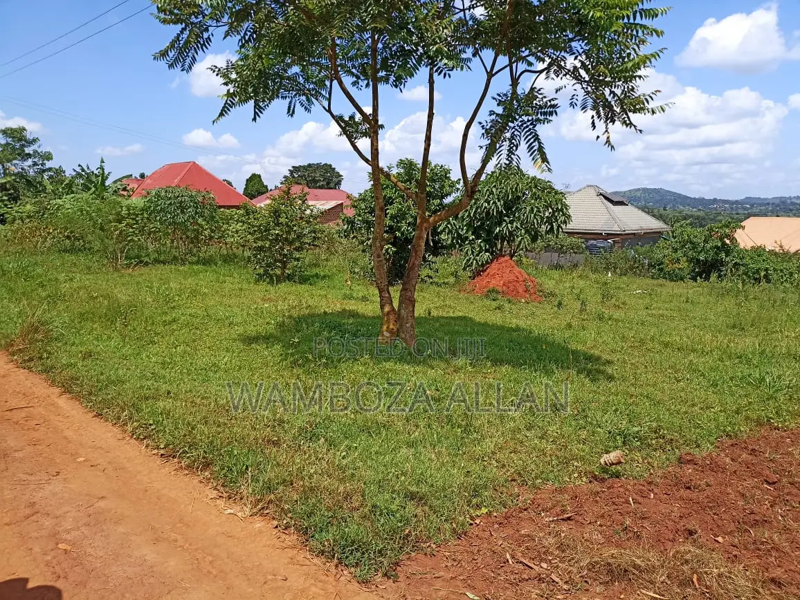 Genuine Titled 50x100 Plot for Sale – Sanga Nakukuba, Matugga