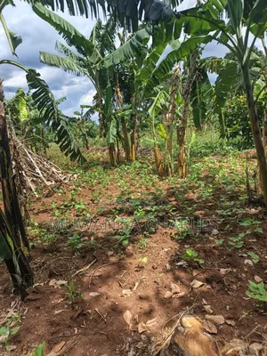Land for Sale in Kakala Zirobwe