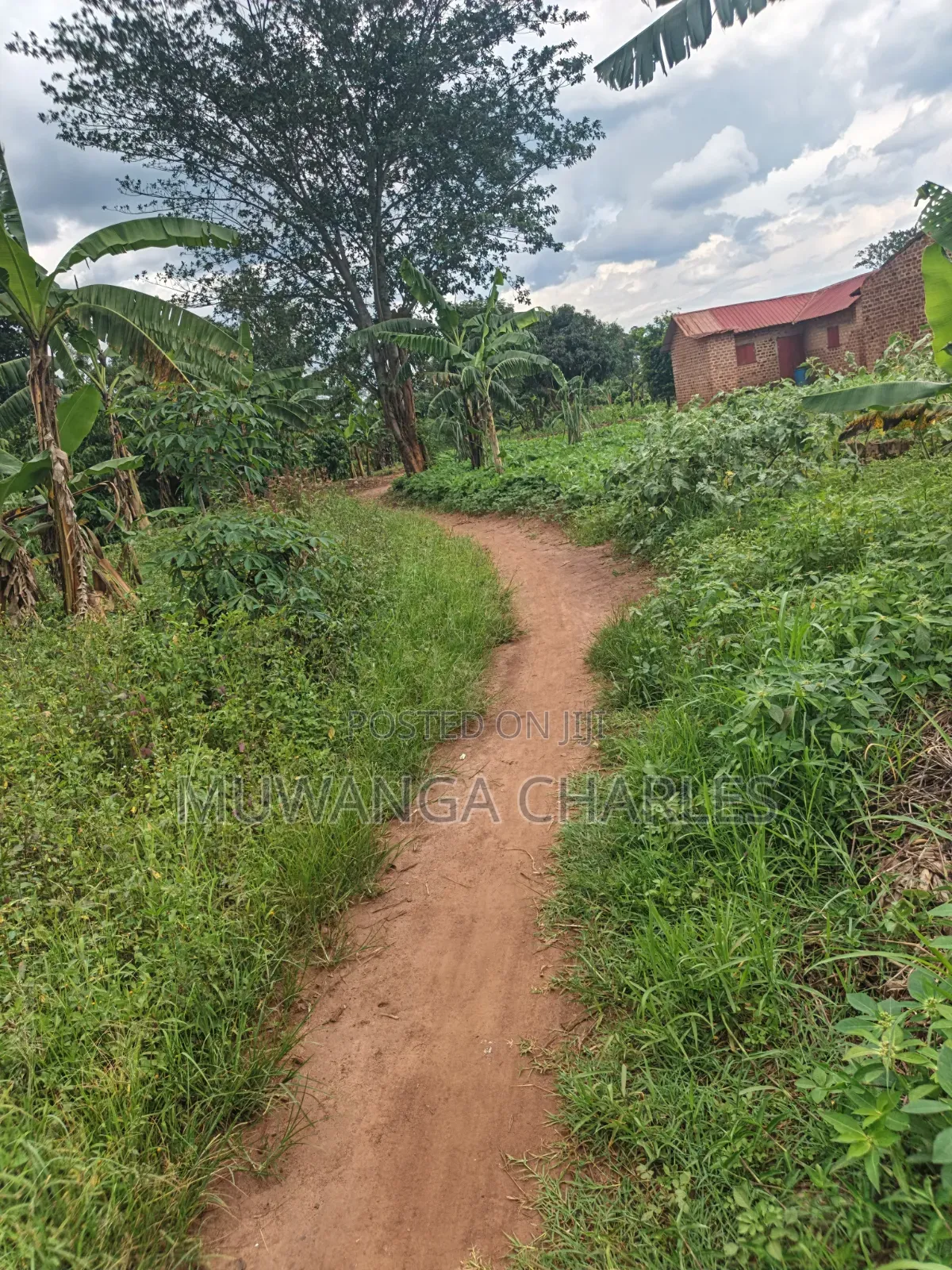 Land for Sale in Kakala Zirobwe