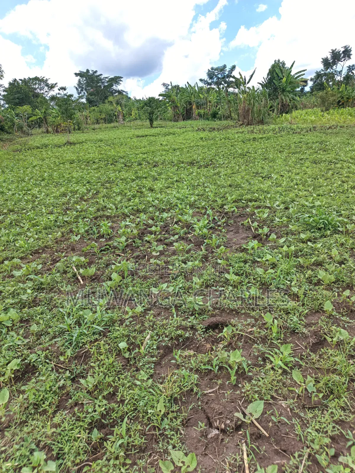 Land for Sale in Kakala Zirobwe