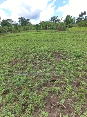 Land for Sale in Kakala Zirobwe