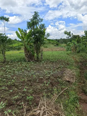Land for Sale in Kakala Zirobwe