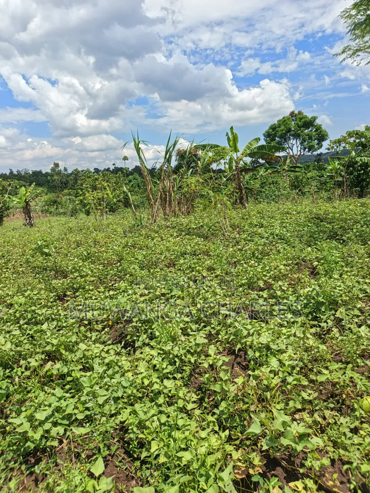 Land for Sale in Kakala Zirobwe