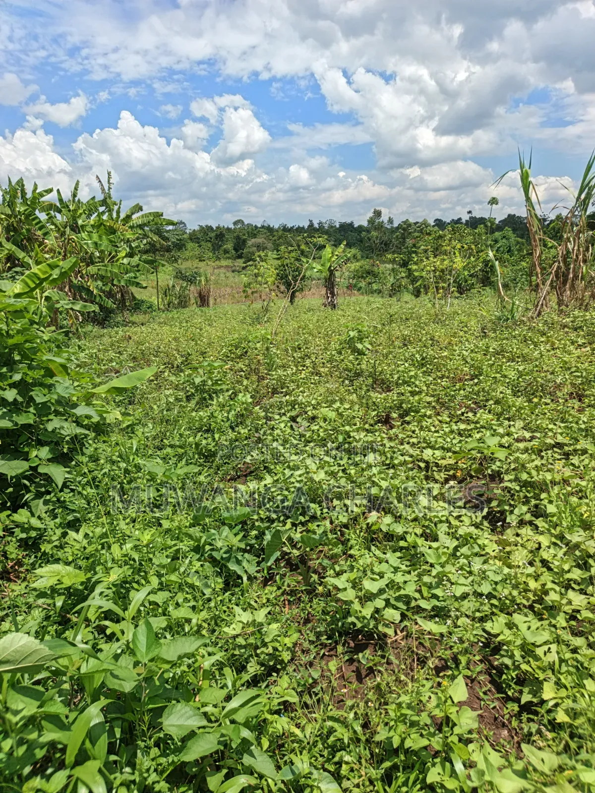 Land for Sale in Kakala Zirobwe