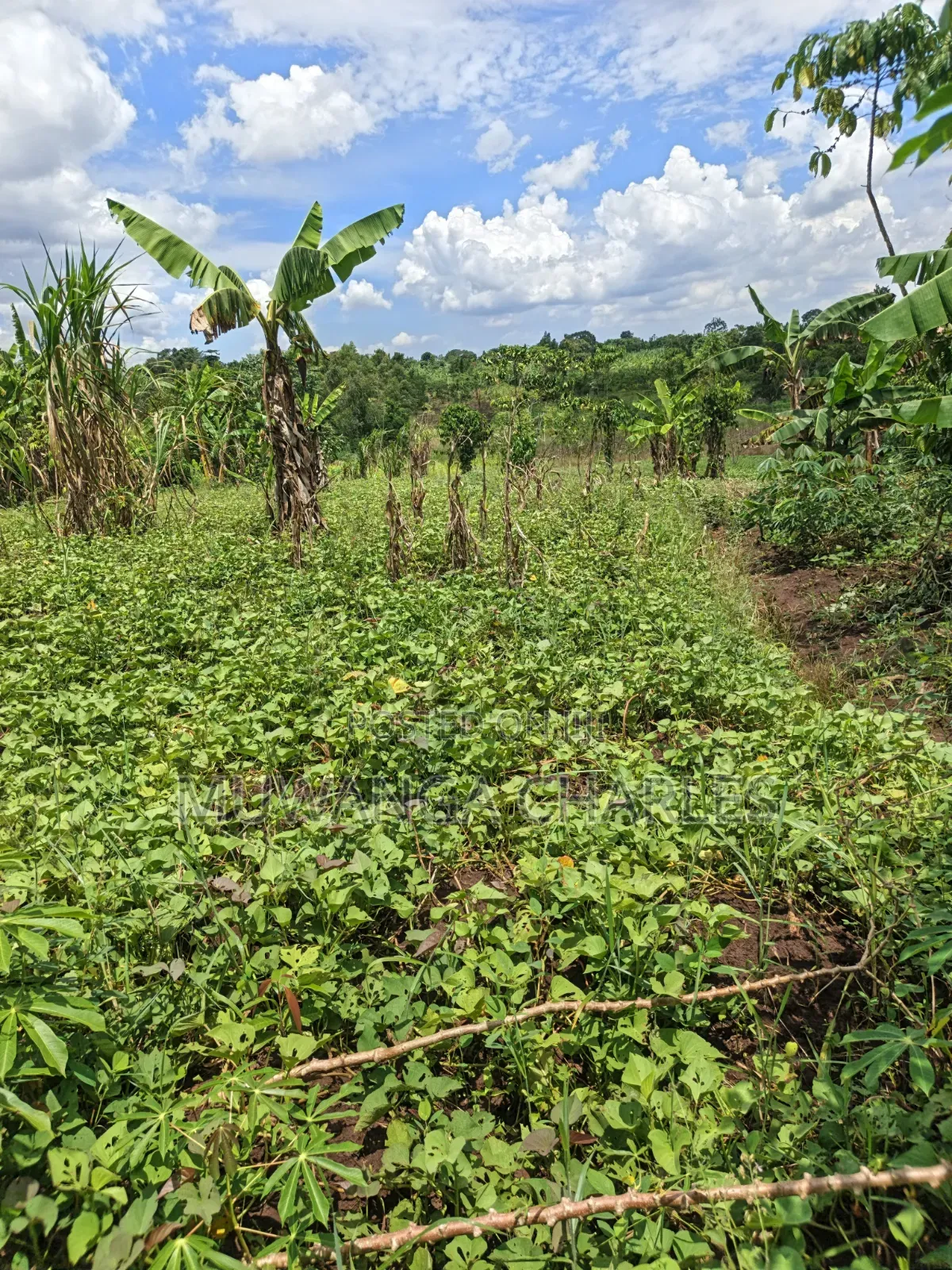Land for Sale in Kakala Zirobwe