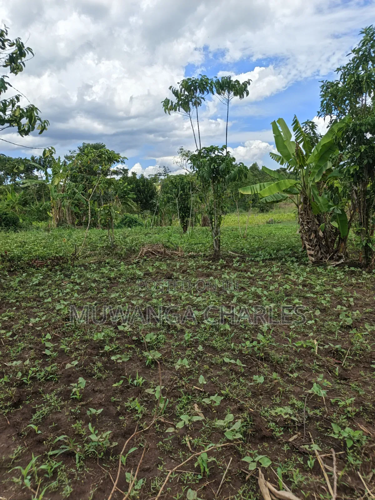 Land for Sale in Kakala Zirobwe