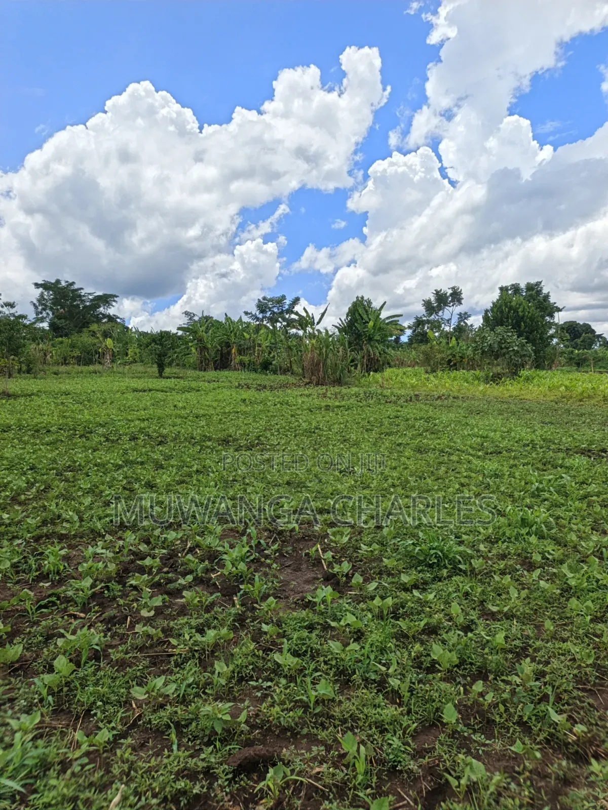 Land for Sale in Kakala Zirobwe