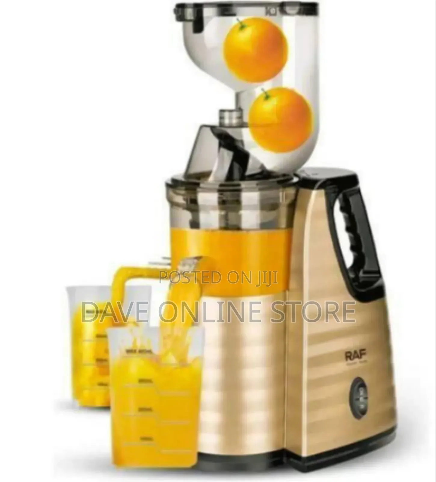 Raf Elegant Slow Juicer for Maximum Nutrient Extraction