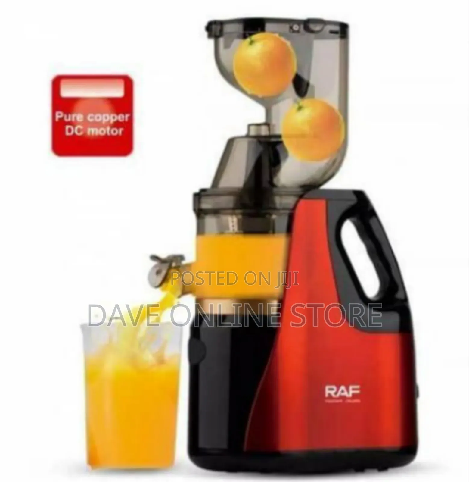 Raf High-Performance Slow Masticating Juicer