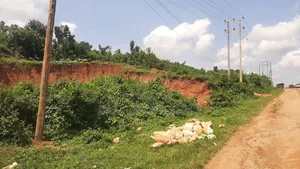 12 Acre Commercial Land in Mattuga for Sale