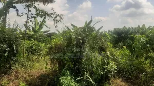 8 Acres in Kakerenge for Sale
