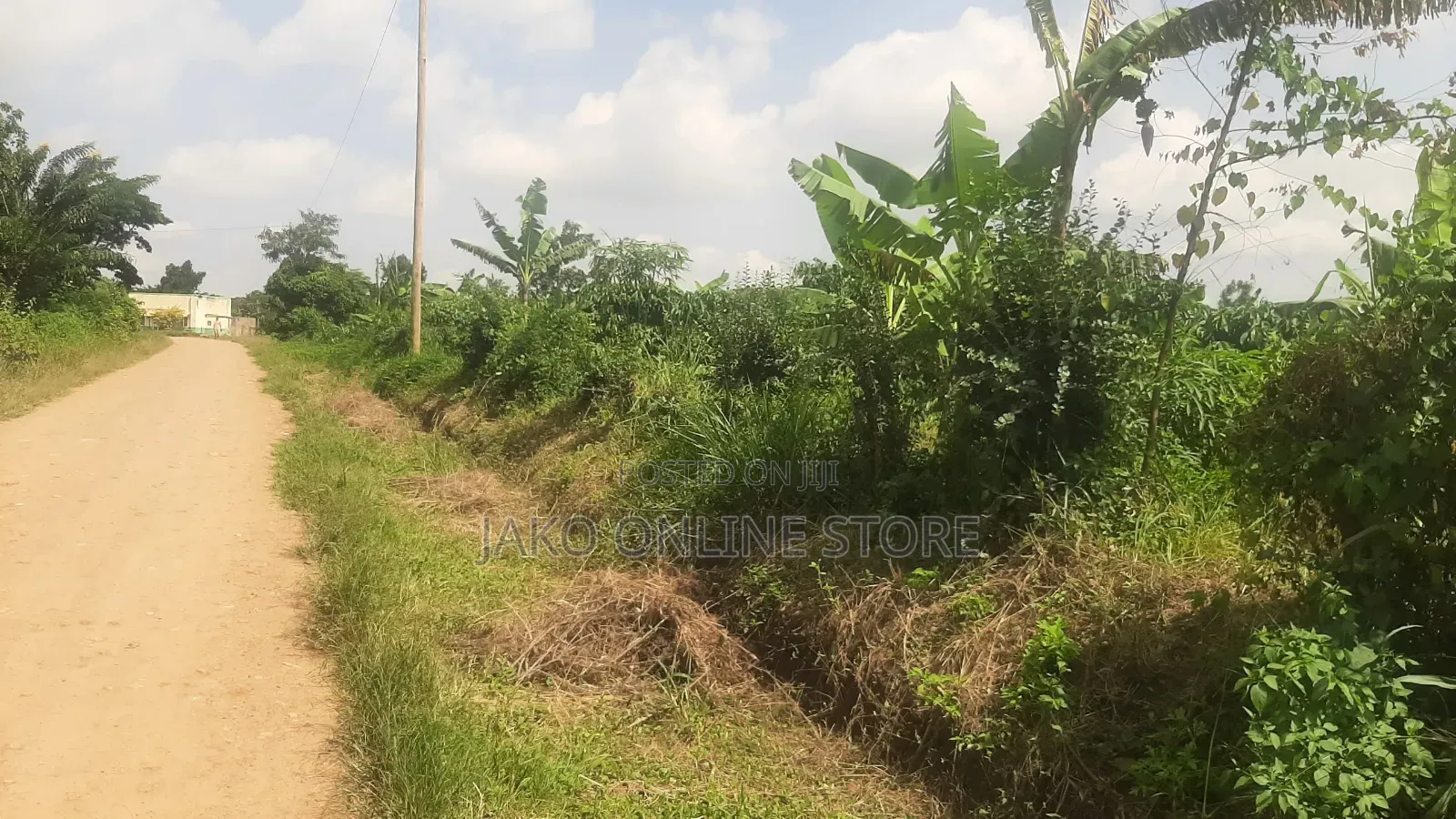 15 Acres for Sale in Bombo