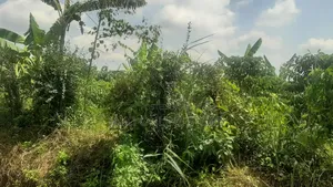 15 Acres for Sale in Bombo