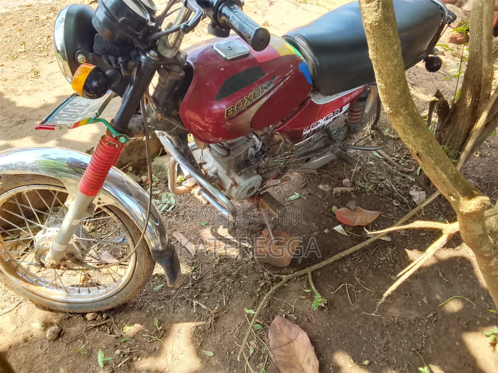 Bajaj Boxer 100 2018 Red