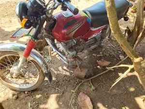 Bajaj Boxer 100 2018 Red