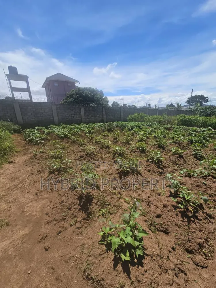 Prime 40 Decimals of Land for Sale at Bweya~Kajjansi Lakeview