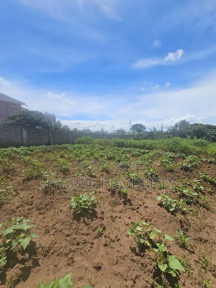 Prime 40 Decimals of Land for Sale at Bweya~Kajjansi Lakeview