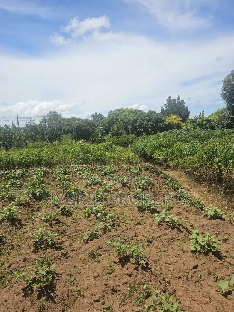 Prime 40 Decimals of Land for Sale at Bweya~Kajjansi Lakeview