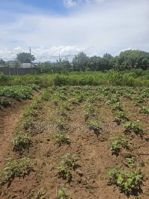 Prime 40 Decimals of Land for Sale at Bweya~Kajjansi Lakeview