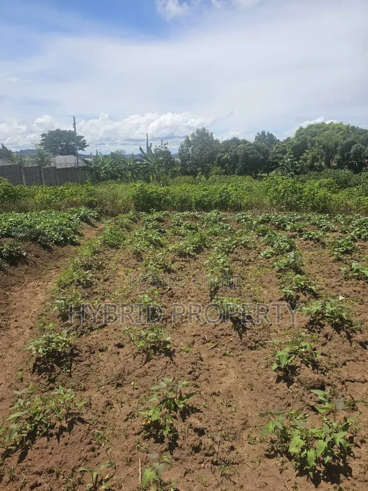 Prime 40 Decimals of Land for Sale at Bweya~Kajjansi Lakeview