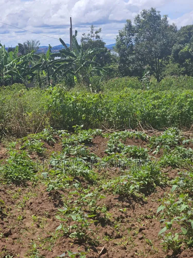 Prime 40 Decimals of Land for Sale at Bweya~Kajjansi Lakeview