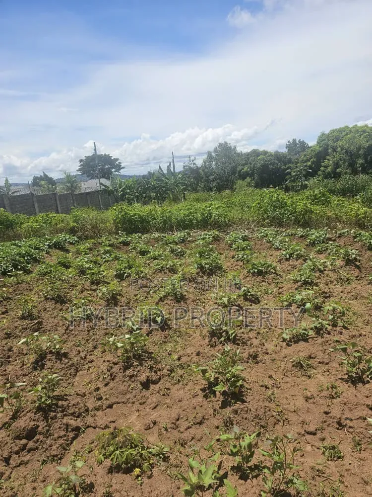 Prime 40 Decimals of Land for Sale at Bweya~Kajjansi Lakeview