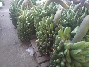 Matooke Best Sellers
