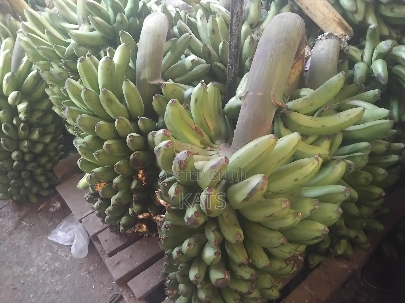 Matooke Best Sellers