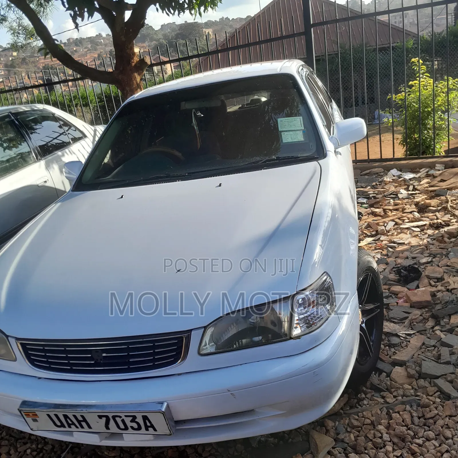 Toyota Corolla 2002 White