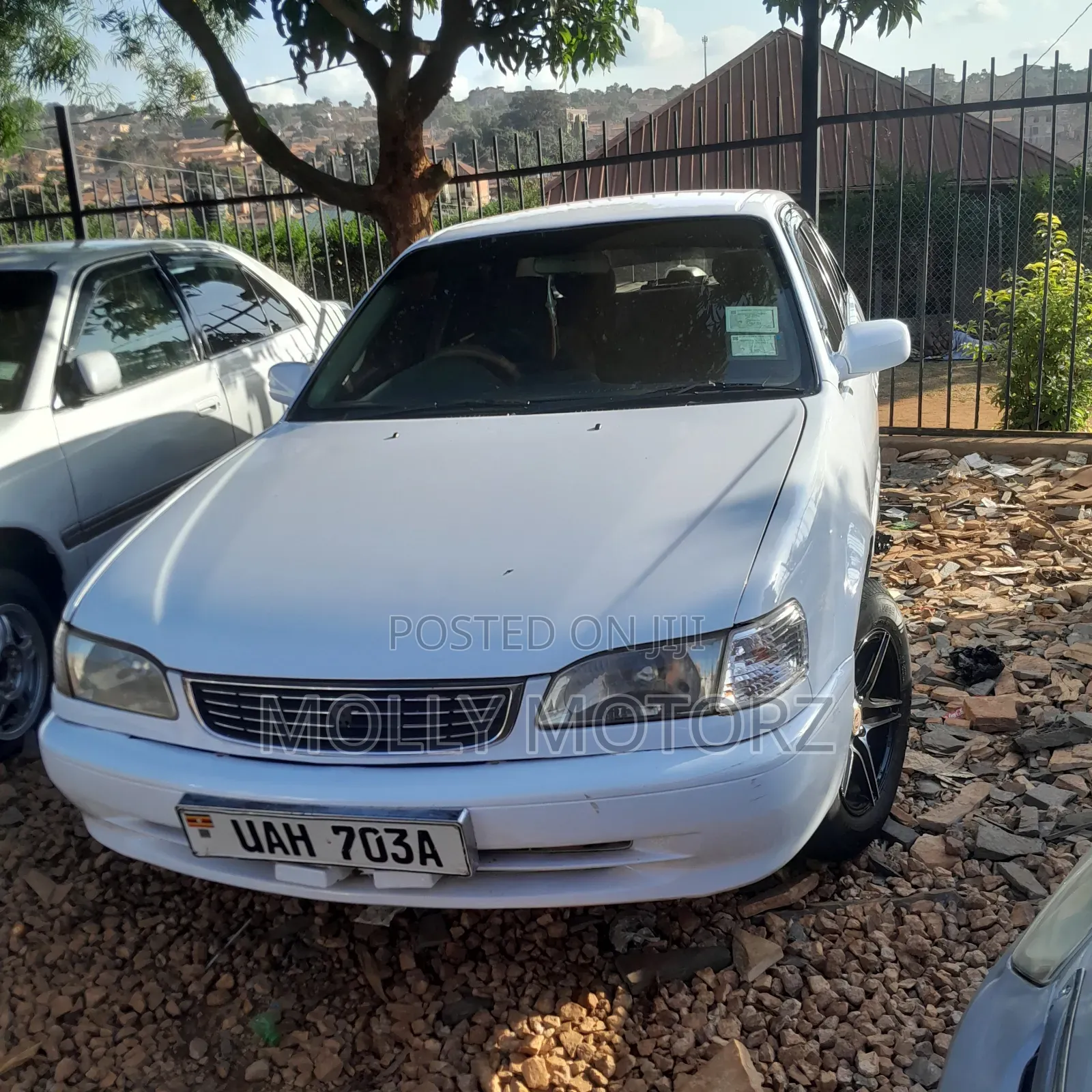 Toyota Corolla 2002 White