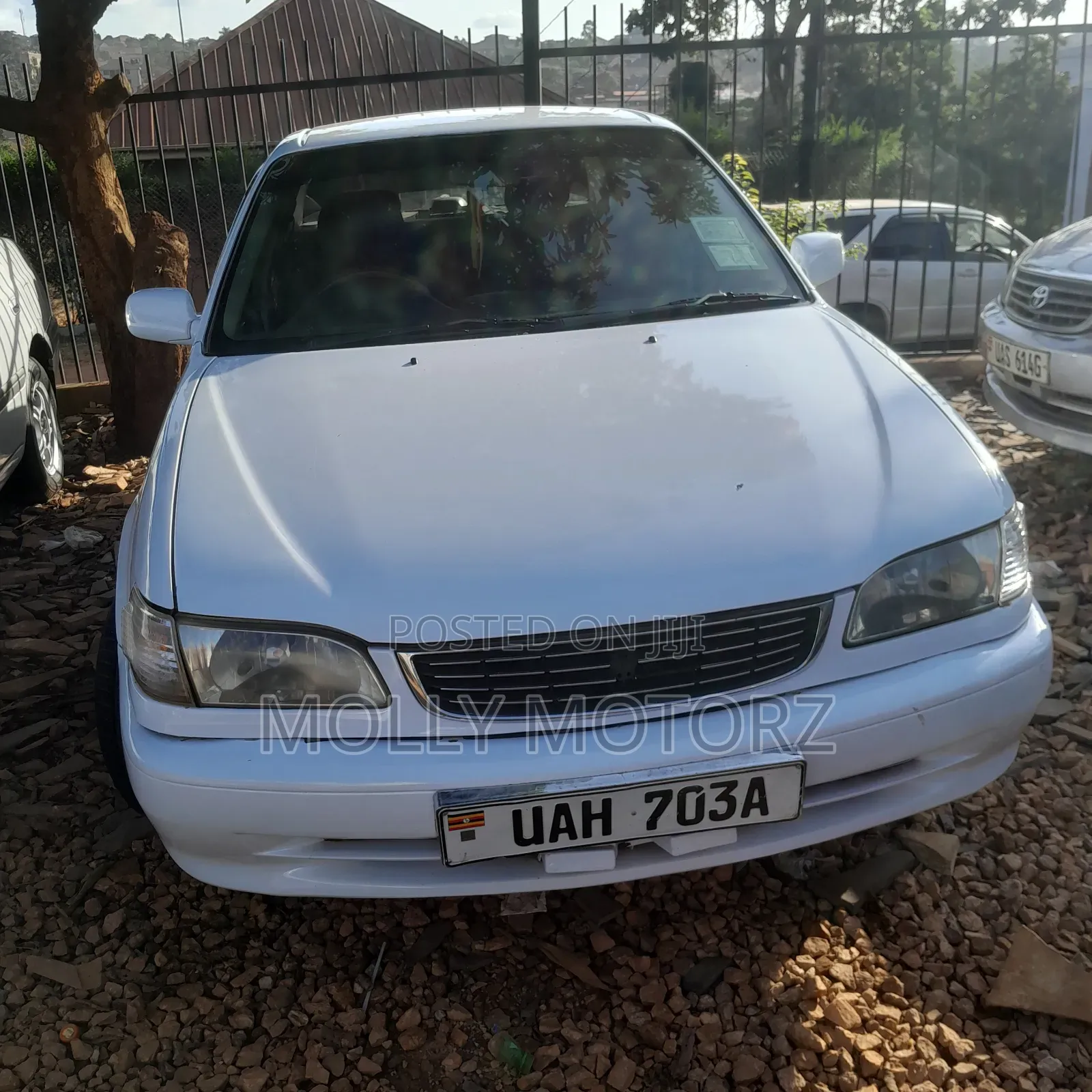 Toyota Corolla 2002 White