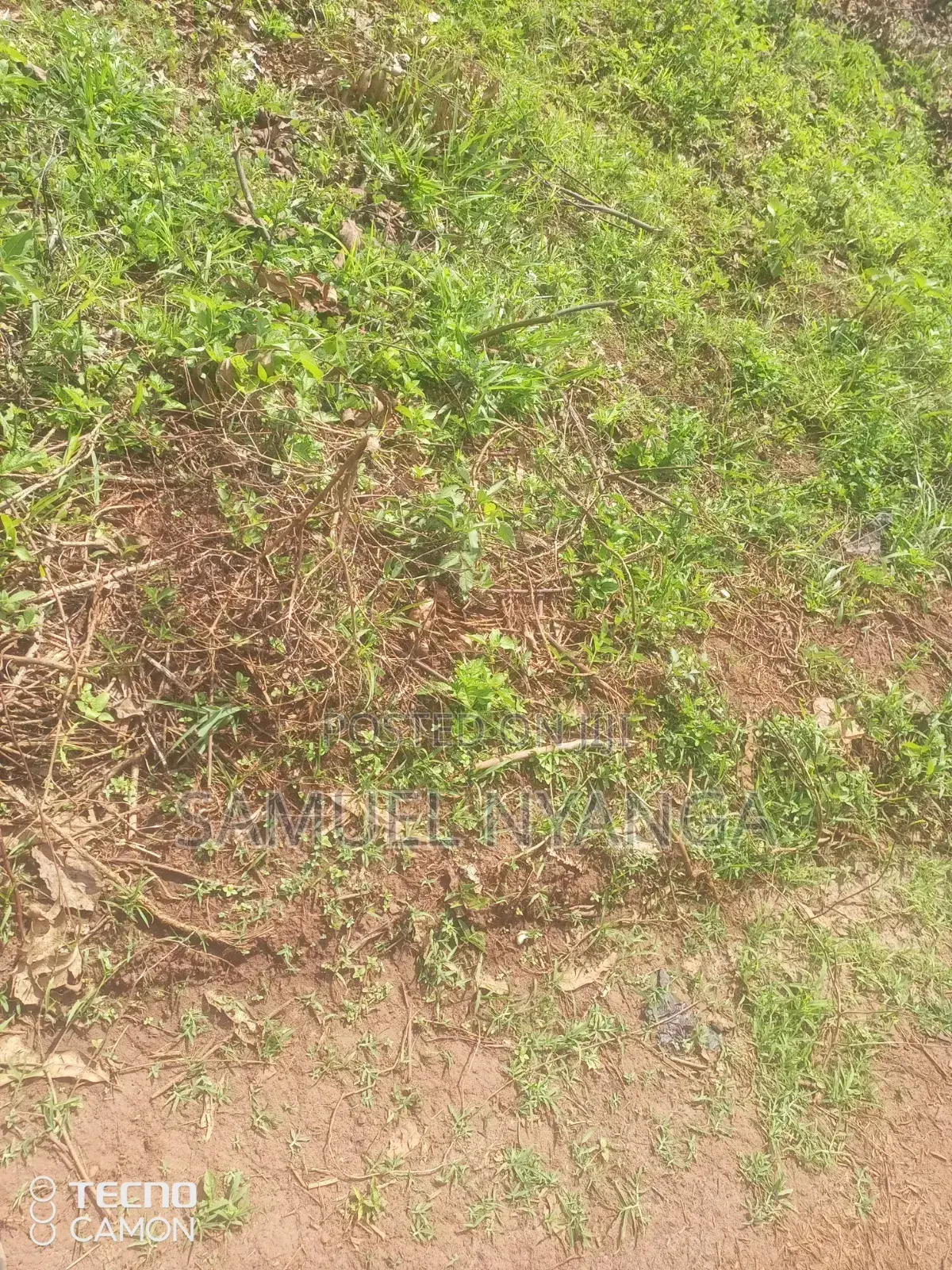 Plots for Sale
