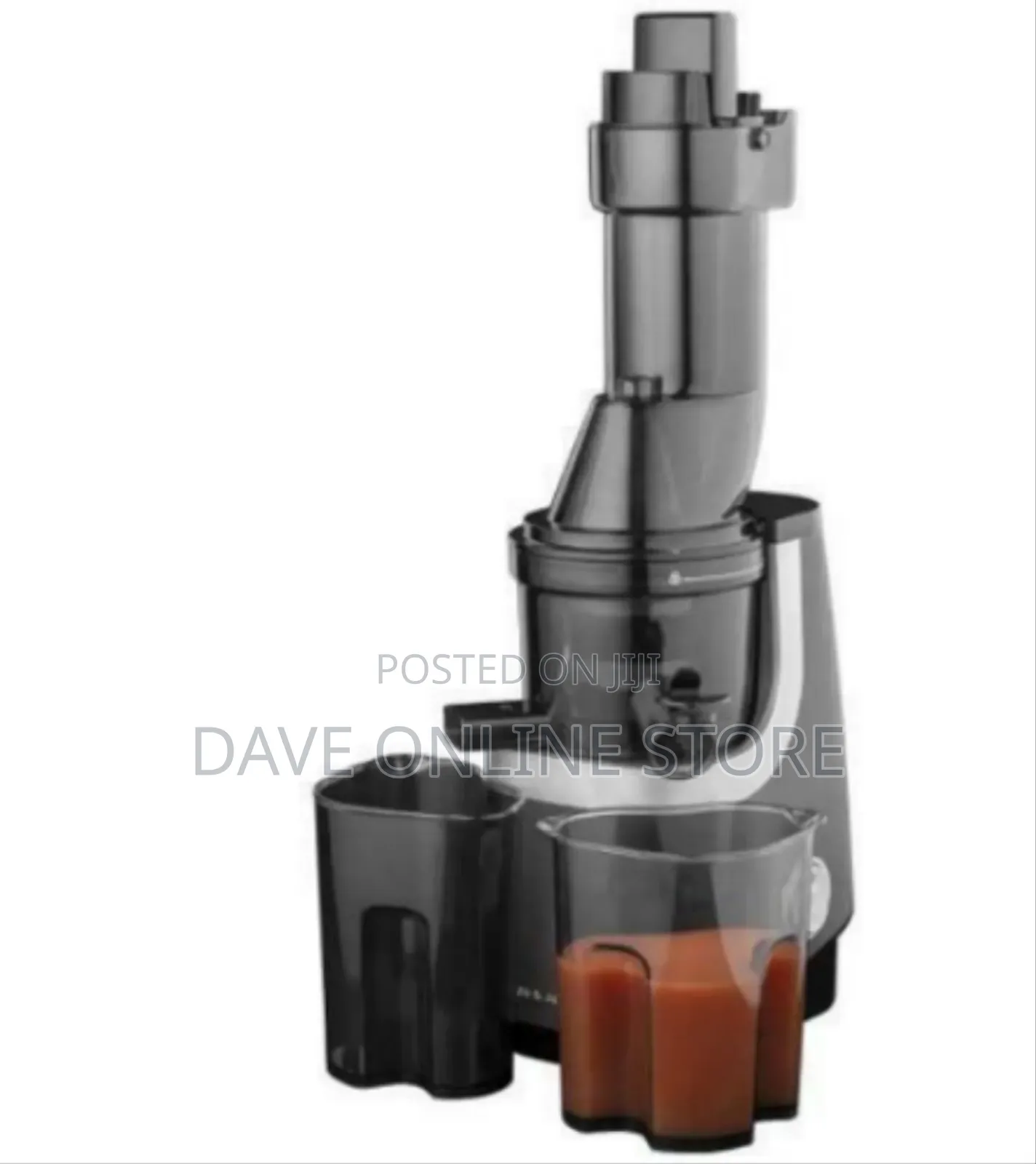 Professional Slow Masticating Juicer for Fruits and Vegetables
